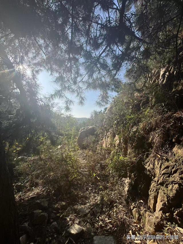 泰安岱岳区曹家庄隐佛崖打山泉水游记