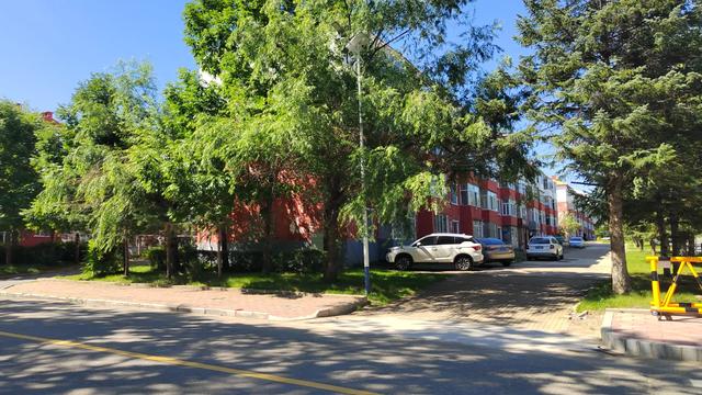 床车游记(黑龙江省大兴安岭地区新林区)