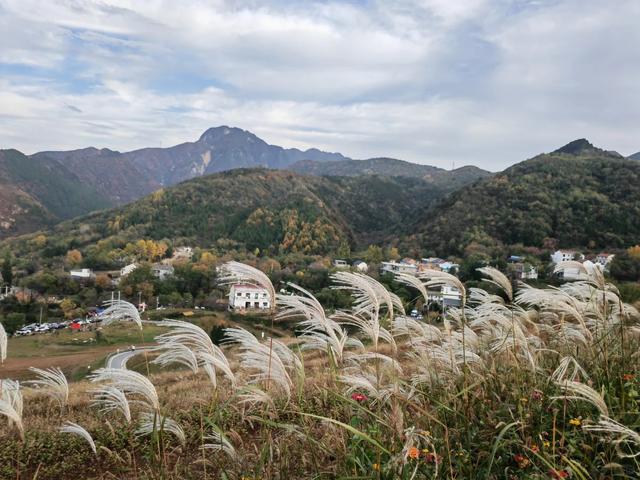 西安周末好去处——初冬8处宝藏公园免费又好玩！