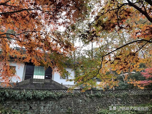 这个杭州公园不得了，被美人填满，拥有绝美枫景，已成浪漫打卡地