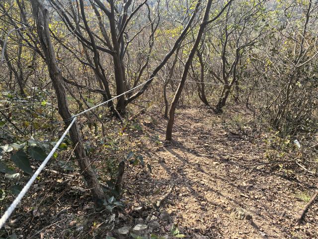 南京龙尚湖，大连山，佘村一日郊野徒步