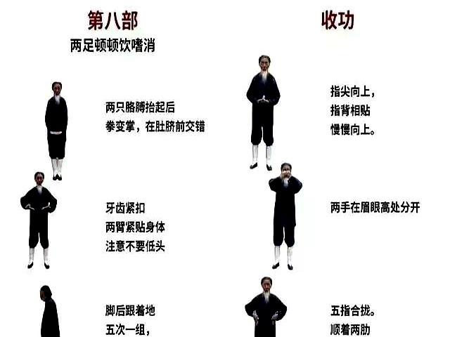 八部金刚功使身体“阳气升	，浊气降”，阴阳趋于平衡，从头调到脚