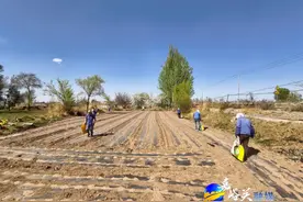 九月份嘉峪关即将迎来一场花田喜事，因为→图片