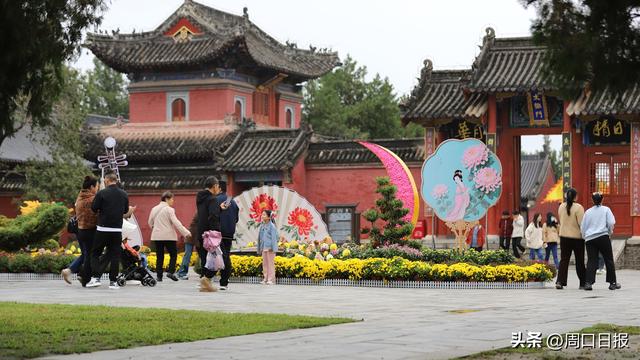 【月满华诞·周口美好】菊韵羲陵