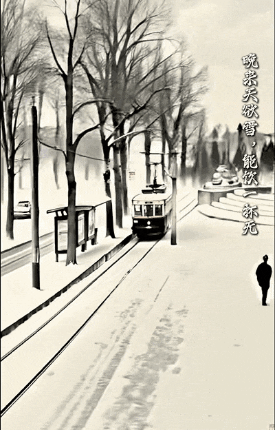 被赵立坚“点名”，长春在干什么