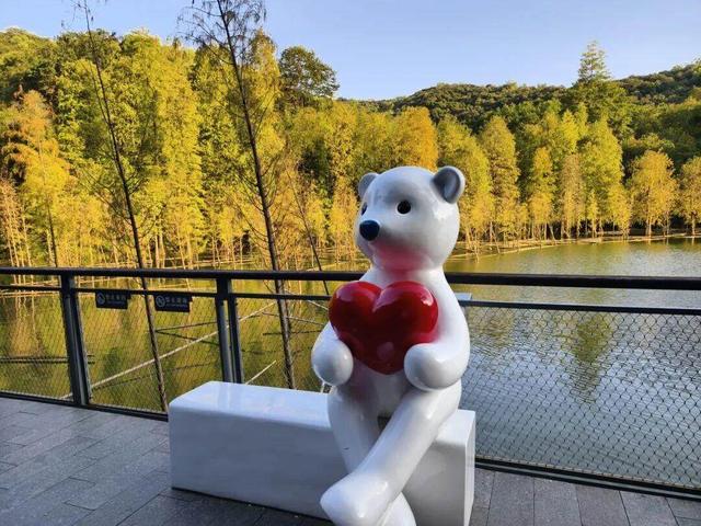 广东今日宜洗晒！落羽杉已换装，秋冬大片等你开机丨温度记