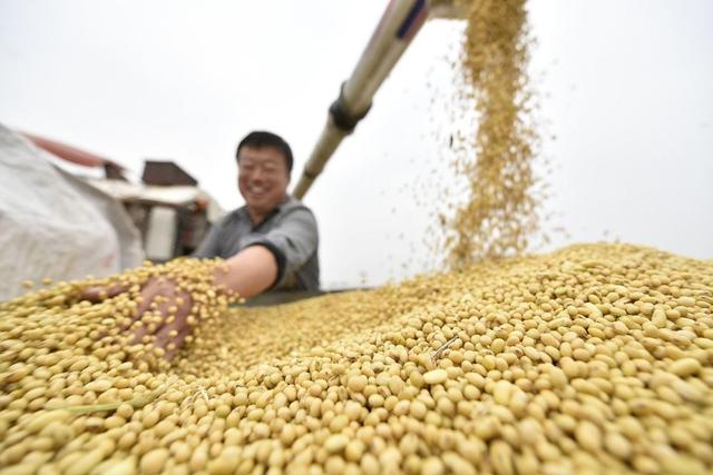 宁愿赔钱也要把粮食卖中国！美国的粮食垄断梦，如何被中国瓦解？