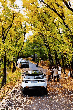 寻迹尖草坪丨初冬限定！这6处绝美风景，再不去真的要等一年！