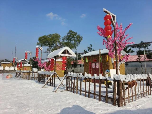 广东湛江：元旦去看“雪”！这份攻略带你走进遂溪的温暖与浪漫