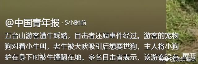 五台山游客被牛顶后：队友爆料，故意让狗挑逗小牛，当事人发声