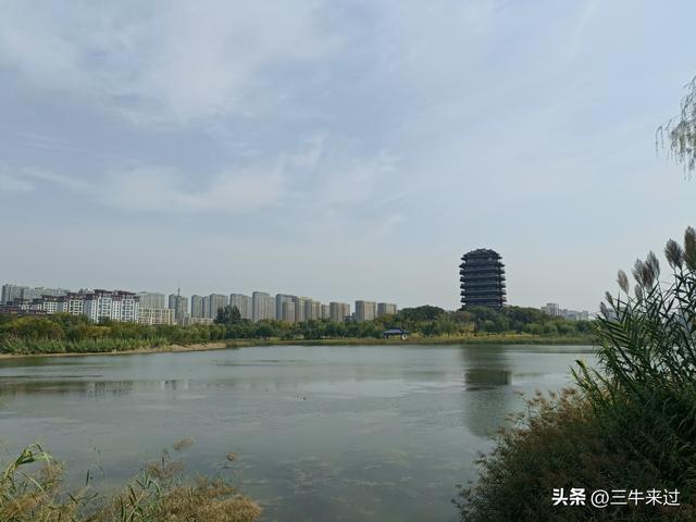 无为在歧路，国庆游淄博1