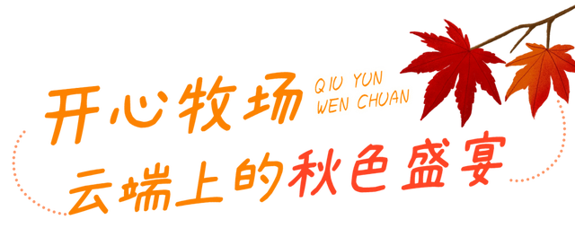 绝美秋色即将上线｜汶川的秋天，不加滤镜都美醉~