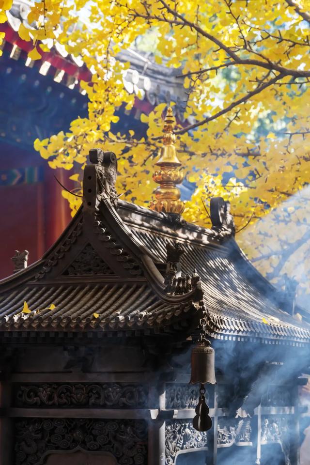 收藏一个秋天，石景山绝美秋色大公开