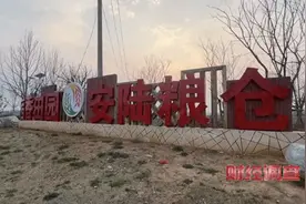 农田里“长”出光伏电站？湖北部分光伏电站侵占大量基本农田，高标准农田被偷梁换柱→图片
