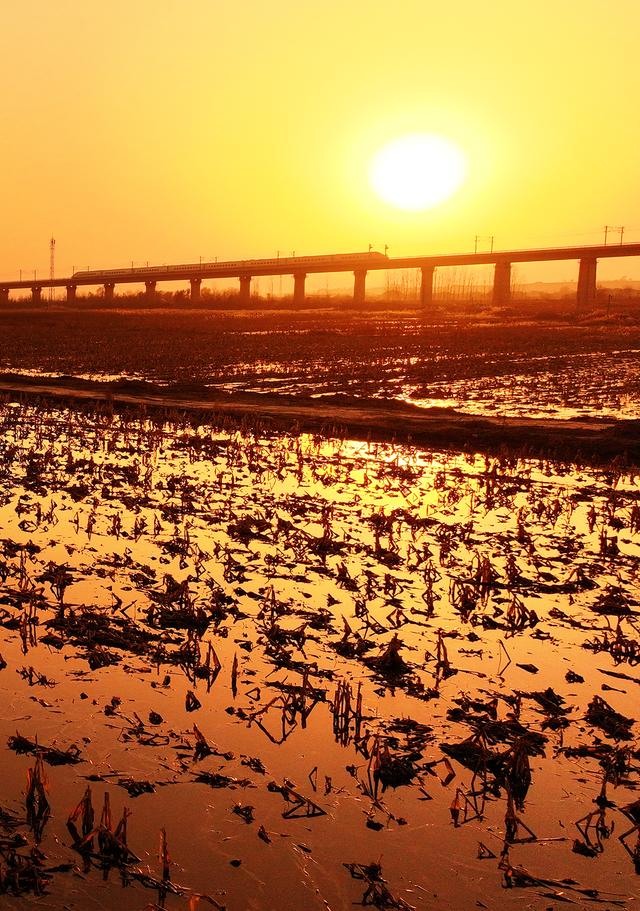 #运城头条#山西绛州：汾河岸畔高铁汾河“龙飞凤舞”入画来