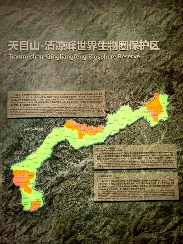 打卡临安新地标！国庆假期解锁自然与科技的奇妙之旅