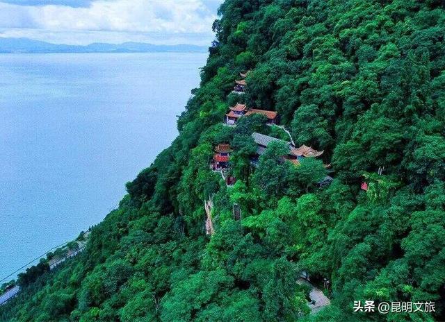 西山赏杏观鸥全攻略！40载人鸥情缘！3+8+N玩法承包冬日浪漫