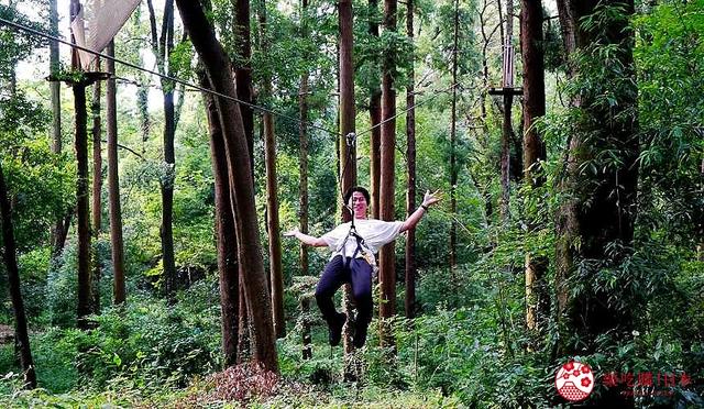 日本亲子游推荐「FOREST ADVENTURE」：享受森林冒险的刺激