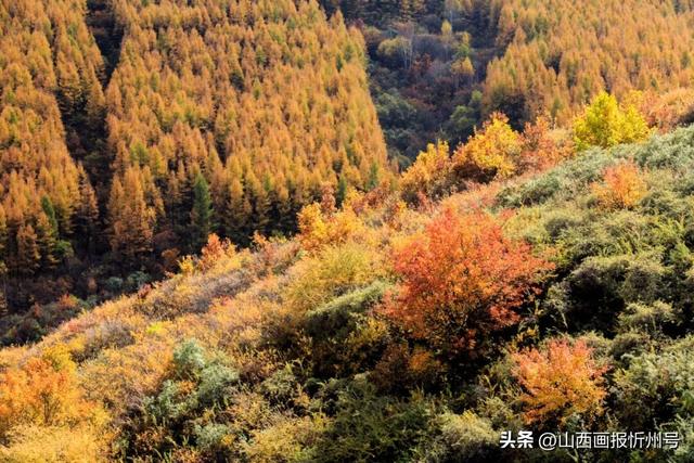 问道龙家庄，拜客昔湖洋