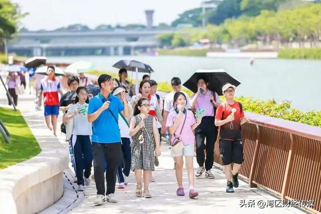深圳人深情表白：“因为一条路，爱上一座城！”