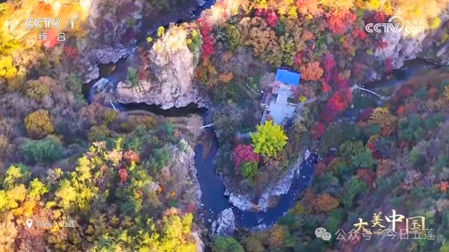 五莲上央视了！