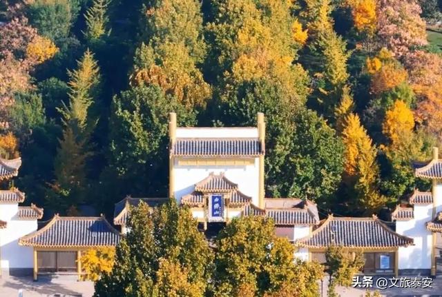 重阳至，来看泰安“登高”全攻略！