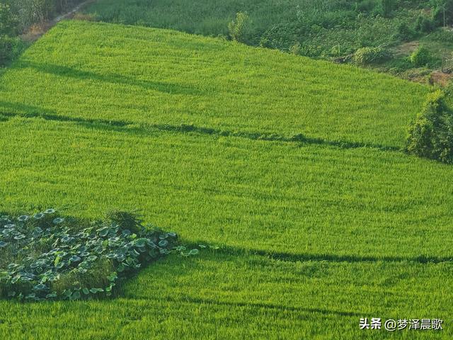 千年古城，云梦城东盛夏光影远眺