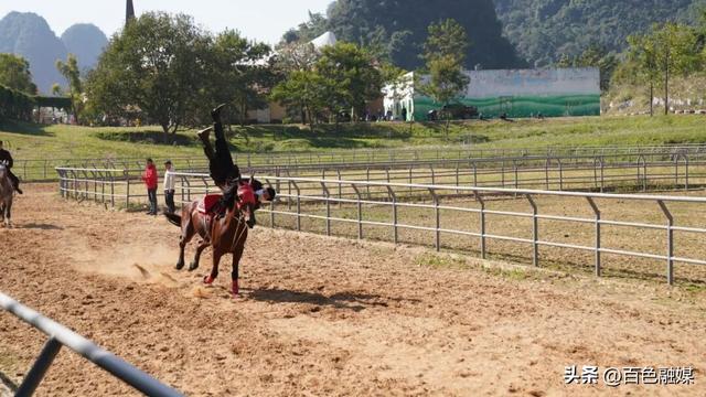 “马”上免单！“姓马、属马”，矮马王国免费玩！