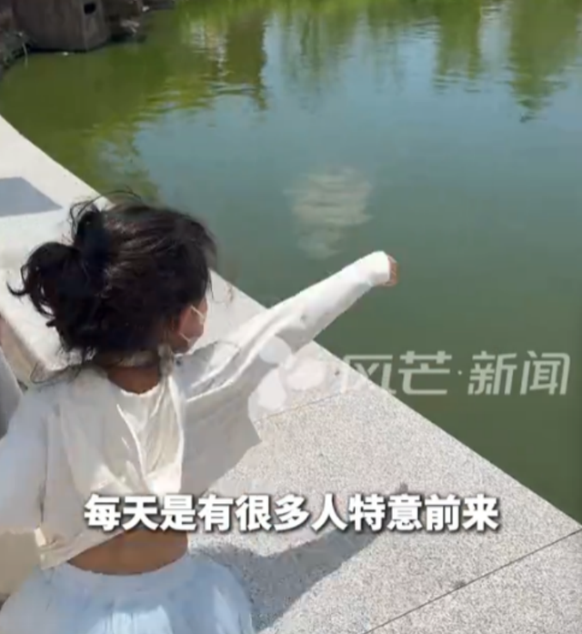 捞光许愿池硬币捐款后续！许愿池成打卡地，游客专门过来投硬币！