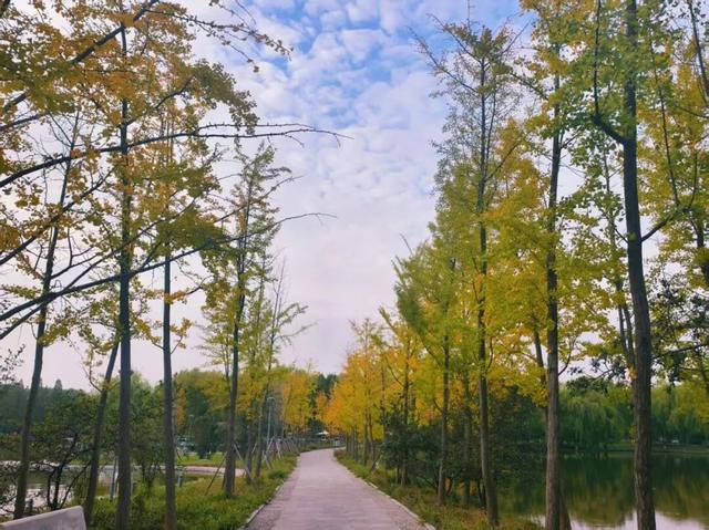 秋韵满园！石家庄市植物园赏秋攻略，请查收→