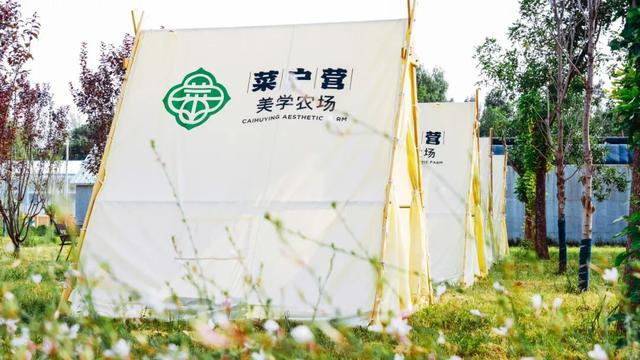 丰彩城市艺术季｜从皇家菜园到美学农场！菜户营在艺术田园里织就新童话