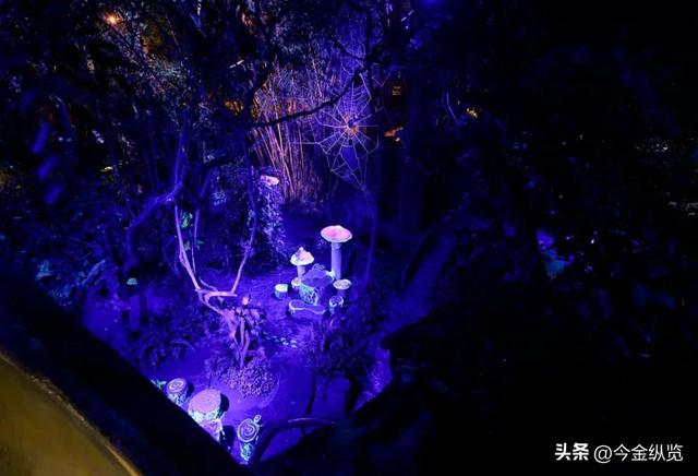 越南深山藏着个“宝藏县城”！美食好吃一百倍，去过南法的都馋哭