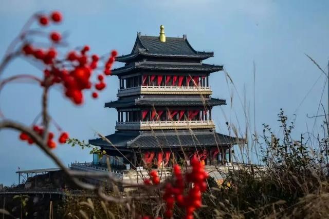 跟着色彩游临沂 | 柿子熟了・田园采摘之旅，承包你的秋日快乐