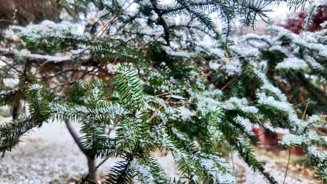 广饶今冬初雪，如约而至！太梦幻了！