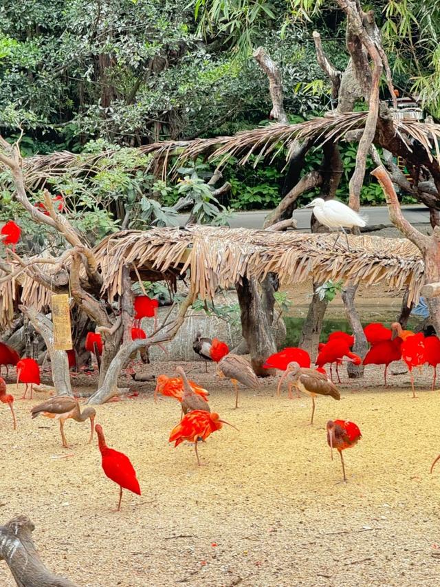 世界上只有中国广州市才有的全球独一无二的10大奇景