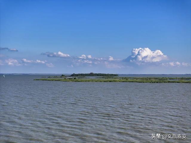 解锁「美拉德」色系！东平的秋天是懂氛围感的，朋友圈晒这些图绝对赢麻！