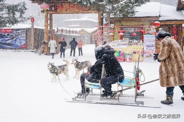 北国冬韵：邂逅东北冰雪秘境的极致浪漫