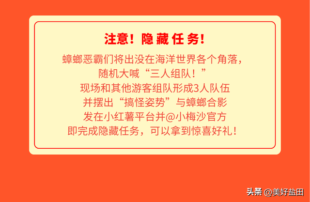 最后1天！小梅沙特惠门票+必玩攻略，速看！
