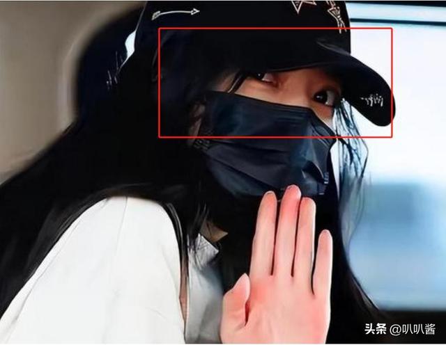 拔出萝卜带出泥！49岁赵薇近况被曝	，原来圈内封杀只是冰山一角