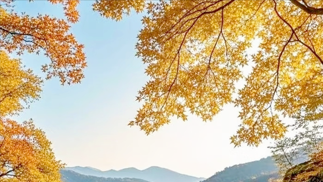 2025年12月上旬十大国内要闻（13日凌晨前更新）：多领域迎利好