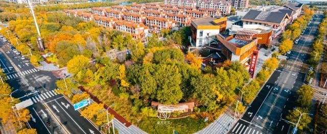 童话世界！深秋的生态城，美成了一幅画