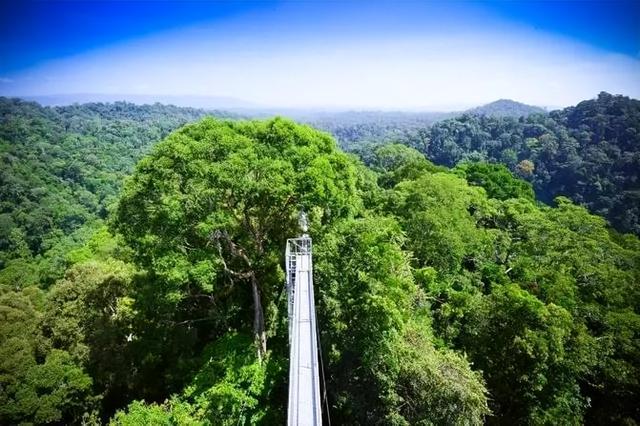 随手拍拍都是美景——带你走进文莱