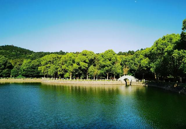 苏州旺山火了！免费逛还能挖笋，结果最后一条规矩让游客真没想到