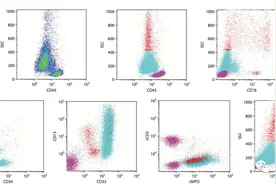 流式细胞术（FCM）在白血病诊断及免疫分型上的应用图片