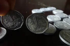 91年-99年最全菊花1角回收行情图片