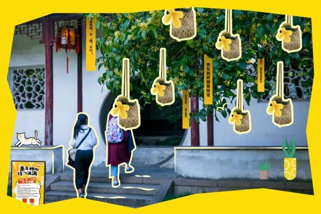 来苏州，打卡“桂”气之旅！