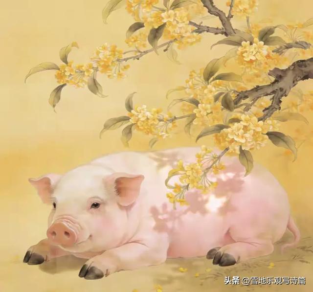 属猪，人算不如天算，12月27号最大的坎，可能不是事，而是身边人