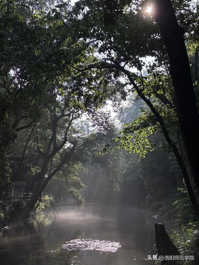这个暑假，你去哪啦？