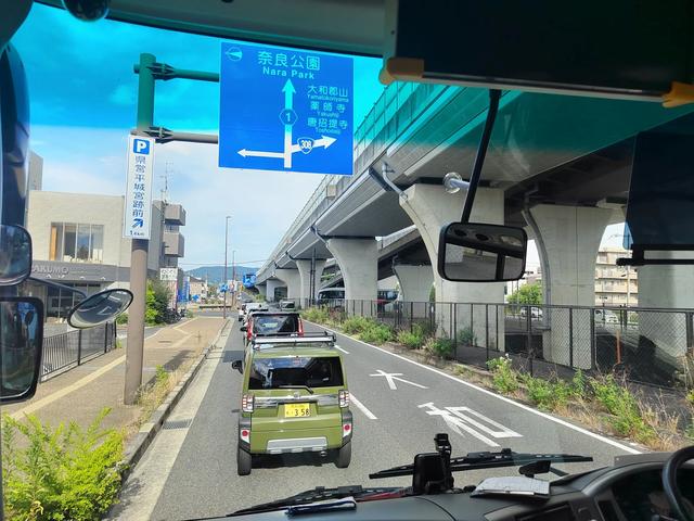 因为鹿，我爱上了奈良