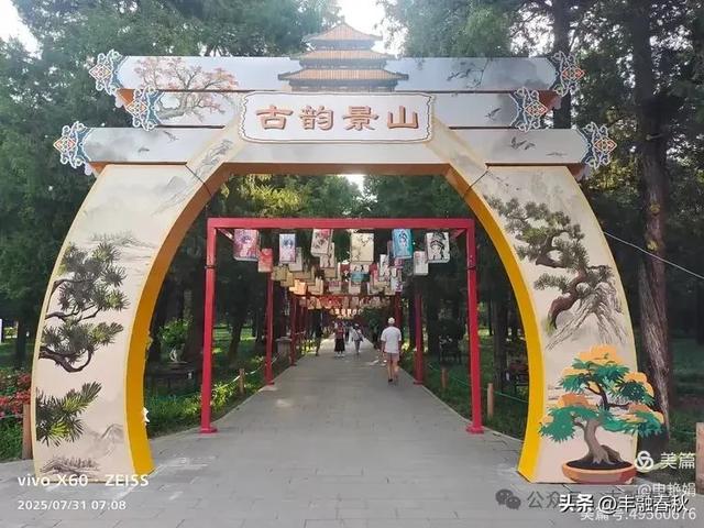 北京景山公园向日葵花海,夏日盛景| 申艳娟